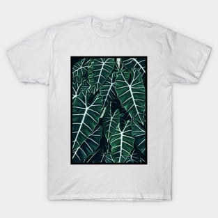 Alocasia Frydek T-Shirt